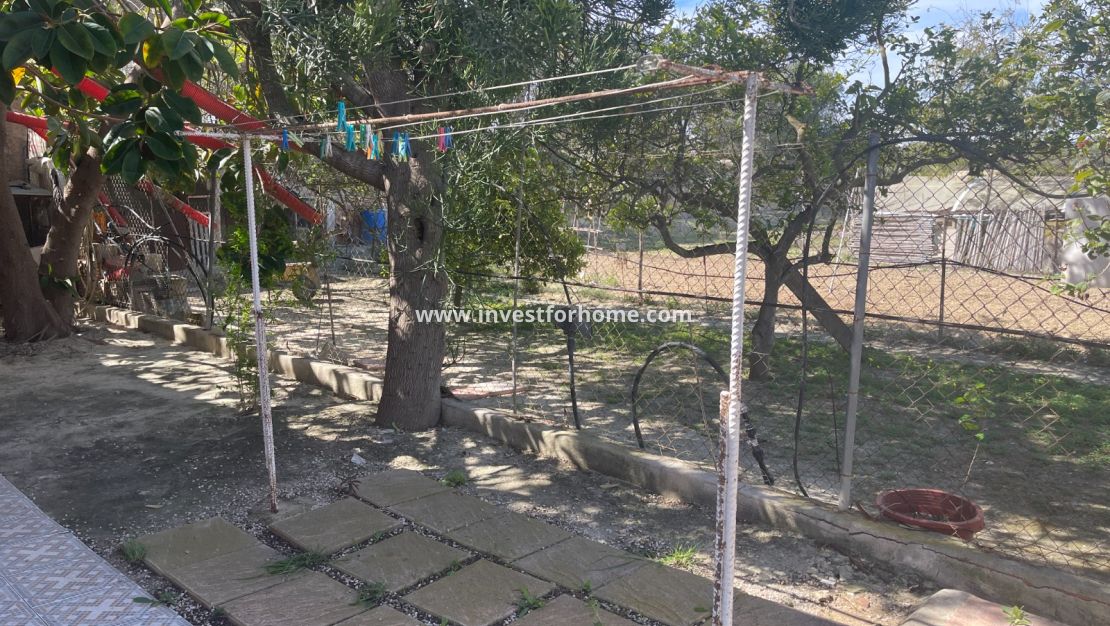 Vente - Villa - Guardamar del Segura - Costa Blanca