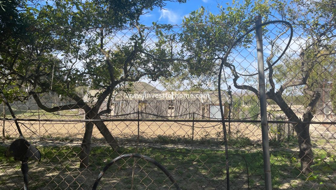 Vente - Villa - Guardamar del Segura - Costa Blanca