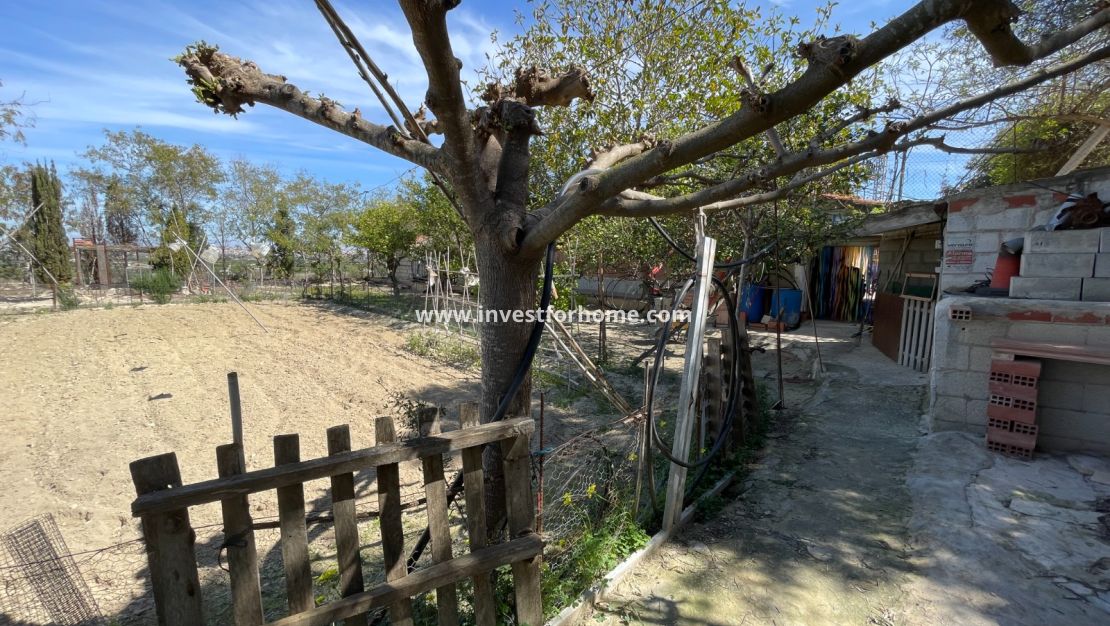 Vente - Villa - Guardamar del Segura - Costa Blanca