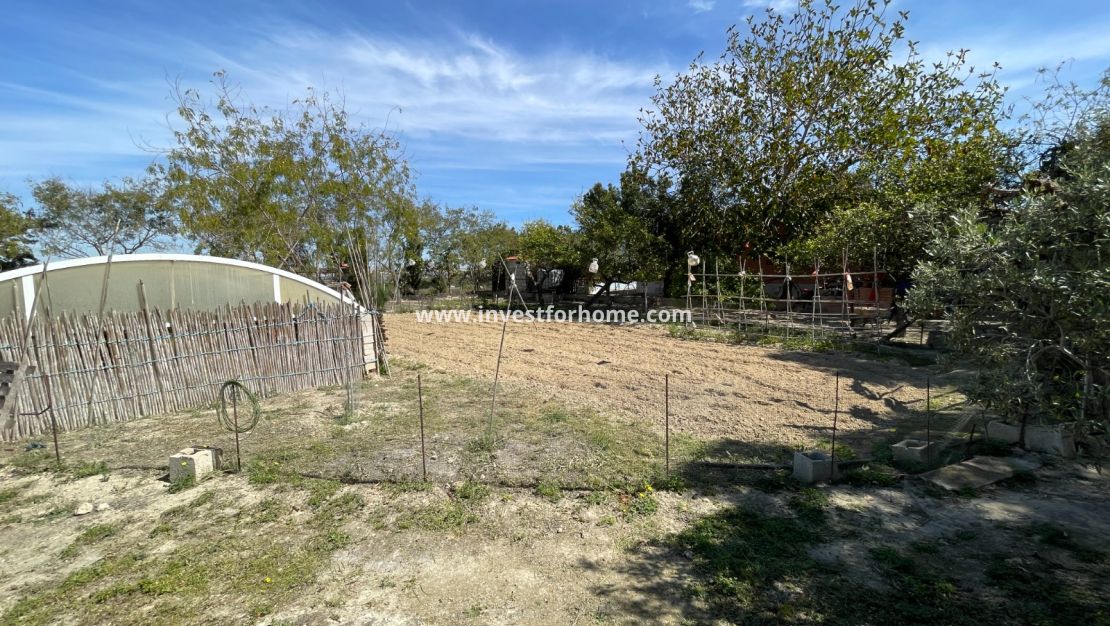 Vente - Villa - Guardamar del Segura - Costa Blanca