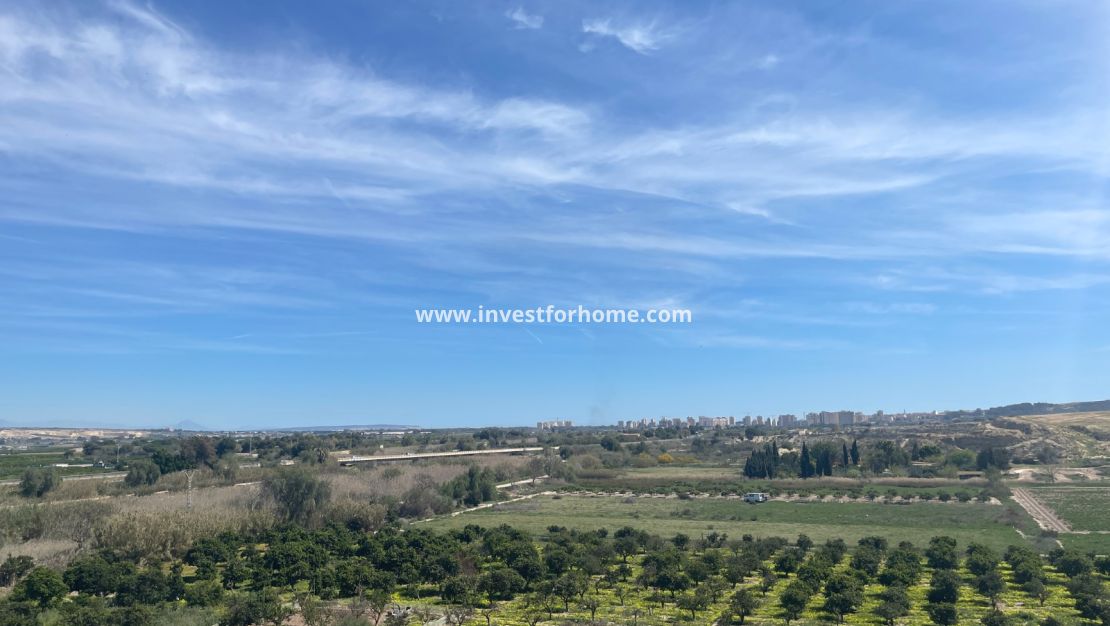 Vente - Villa - Guardamar del Segura - Costa Blanca