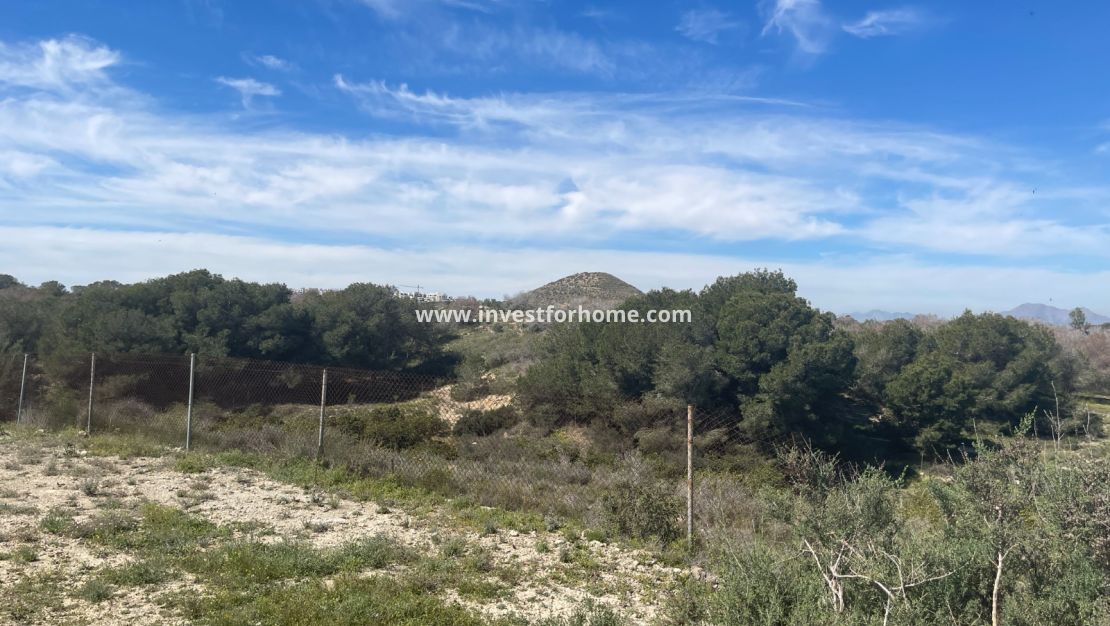 Vente - Villa - Guardamar del Segura - Costa Blanca