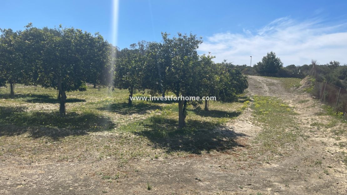 Vente - Villa - Guardamar del Segura - Costa Blanca