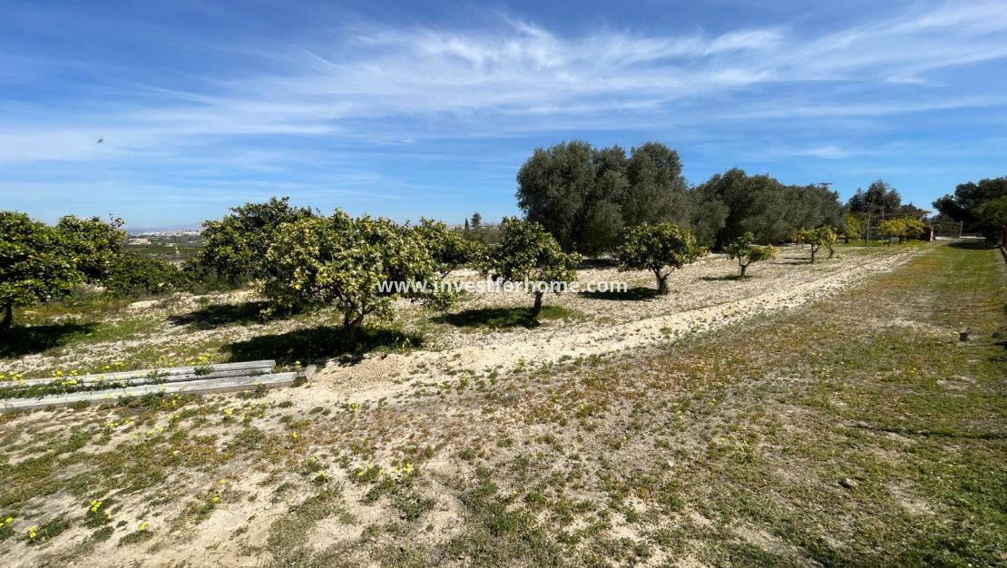 Vente - Villa - Guardamar del Segura - Costa Blanca