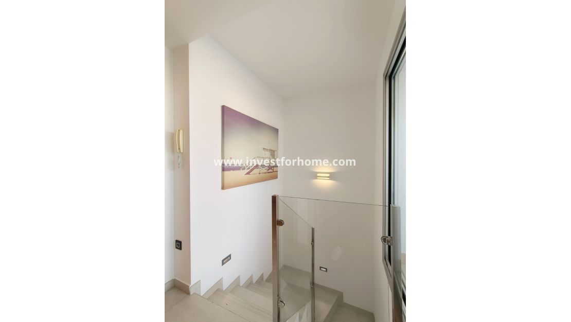 Vente - Villa - Guardamar del Segura - El Raso