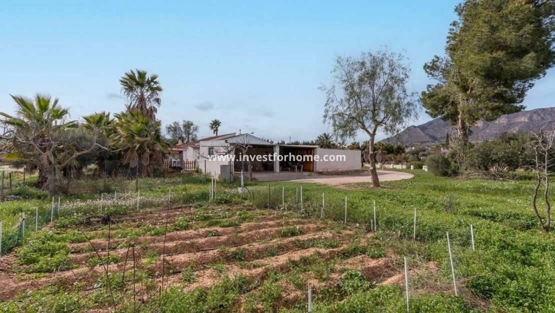 Vente - Villa - Hondón de las Nieves - Inland