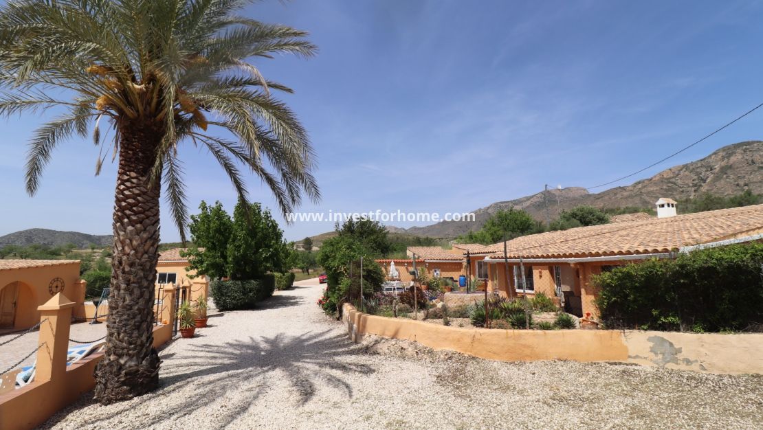 Vente - Villa - Hondón de las Nieves - Inland