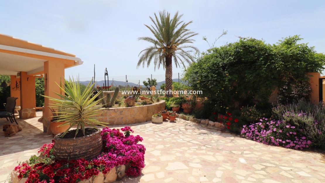 Vente - Villa - Hondón de las Nieves - Inland