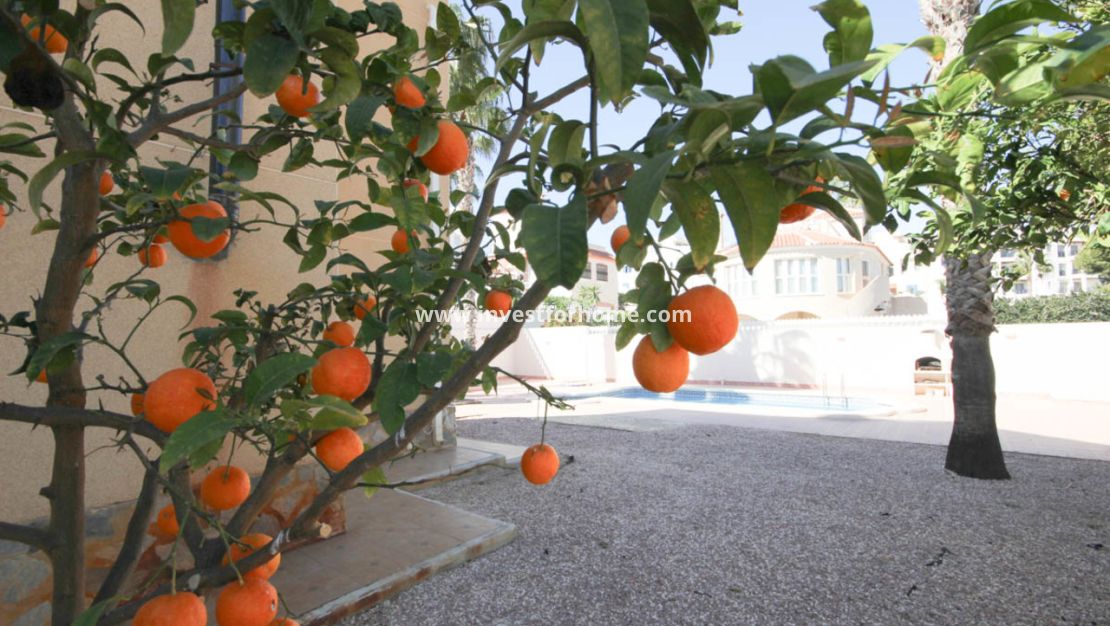 Vente - Villa - Orihuela Costa - Costa Blanca