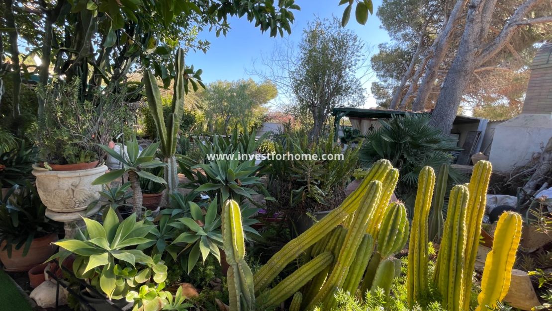 Vente - Villa - Orihuela Costa - Costa Blanca