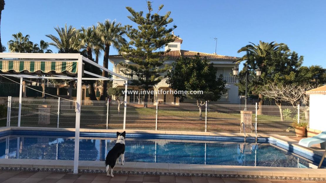 Vente - Villa - Orihuela Costa - Costa Blanca