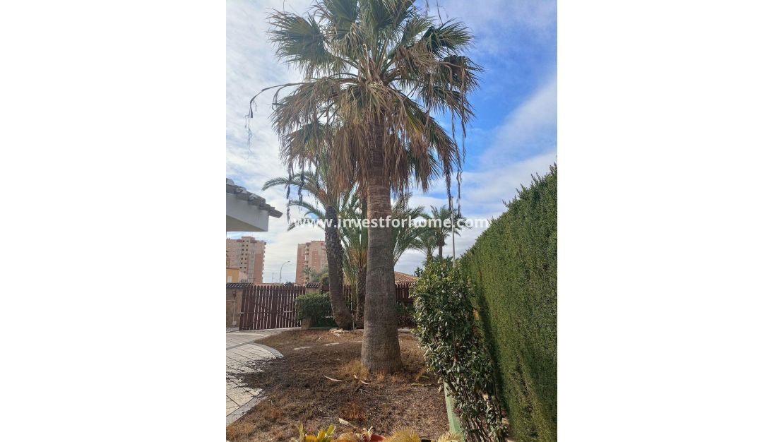 Vente - Villa - Orihuela Costa - Dehesa De Campoamor