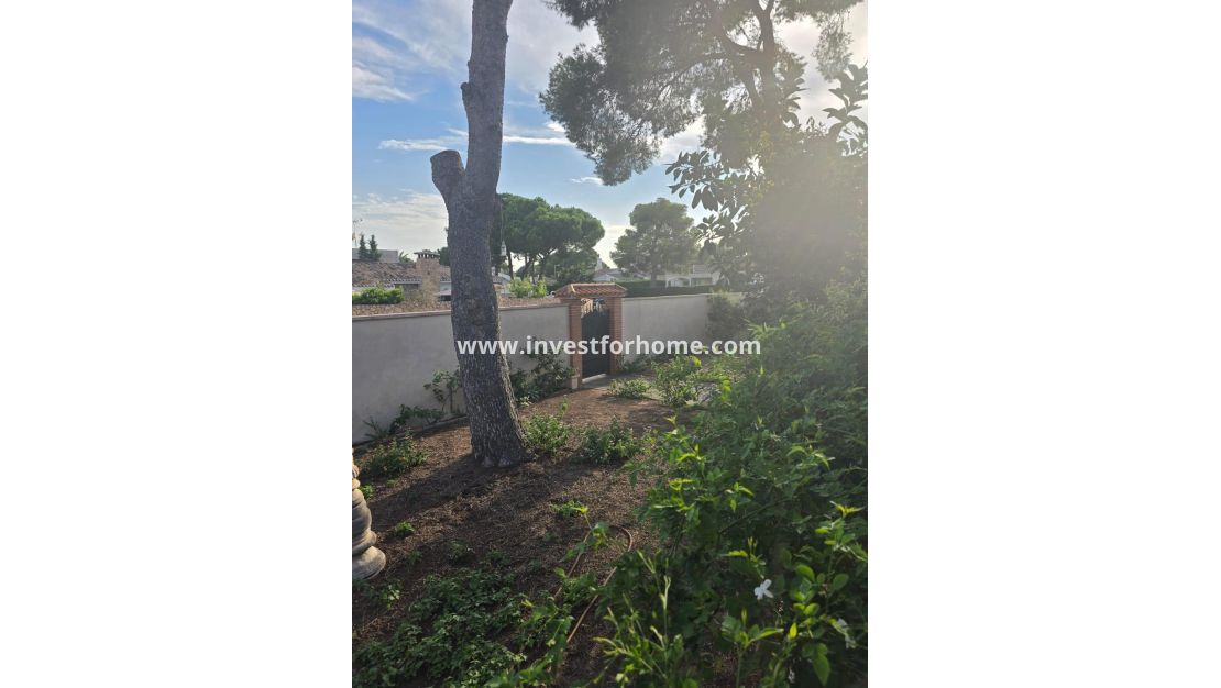 Vente - Villa - Orihuela Costa - Dehesa De Campoamor