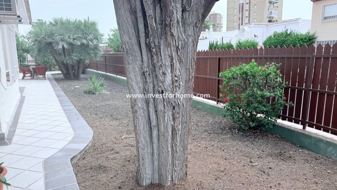 Vente - Villa - Orihuela Costa - Dehesa De Campoamor