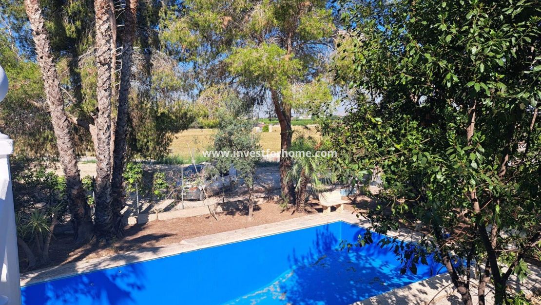 Vente - Villa - Orihuela Costa - Desamparados-hurchillo-torremendo