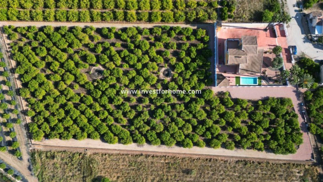 Vente - Villa - Orihuela Costa - Inland