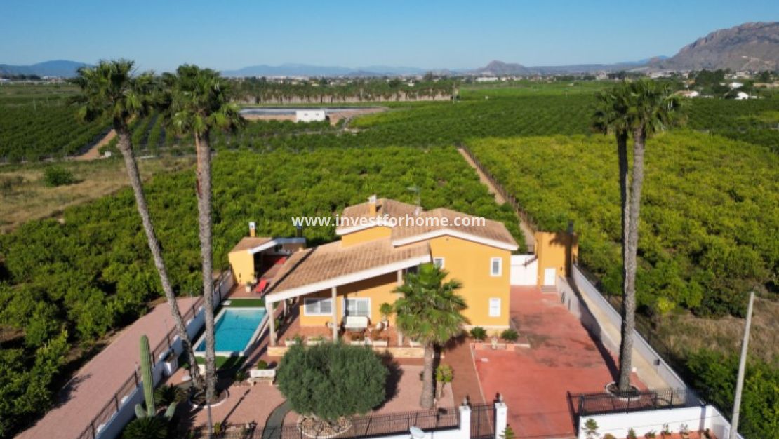 Vente - Villa - Orihuela Costa - Inland