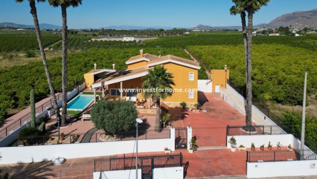 Vente - Villa - Orihuela Costa - Inland