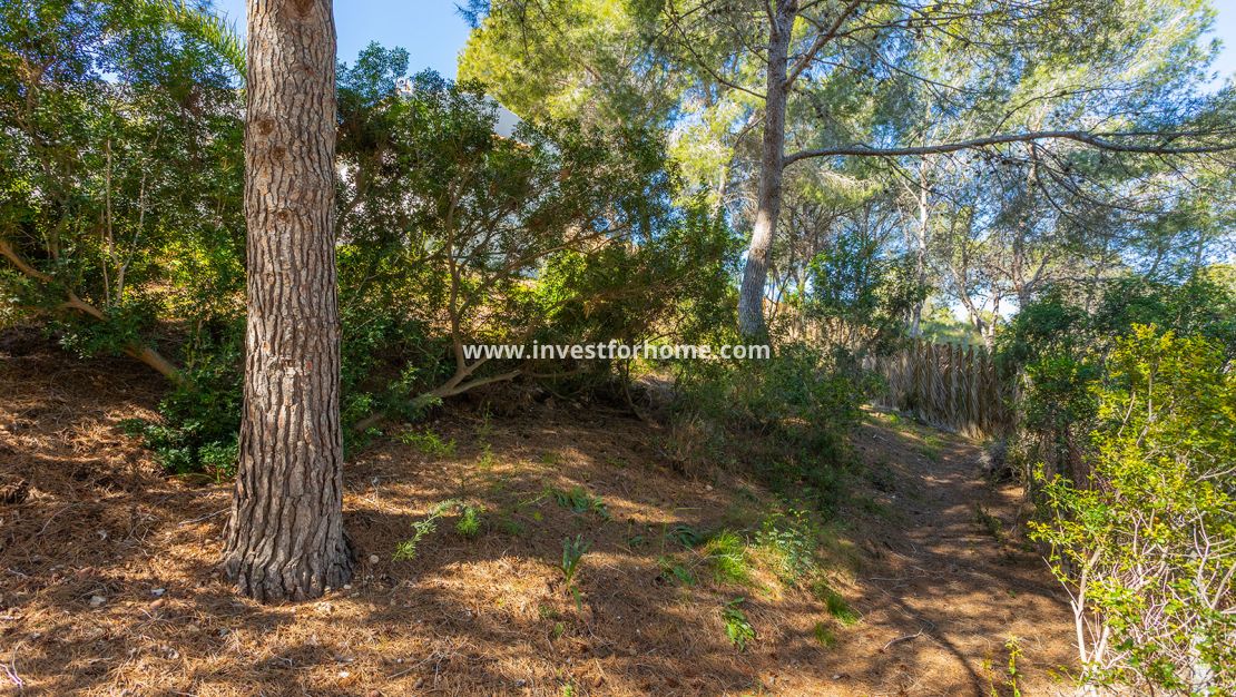 Vente - Villa - Orihuela Costa - Inland