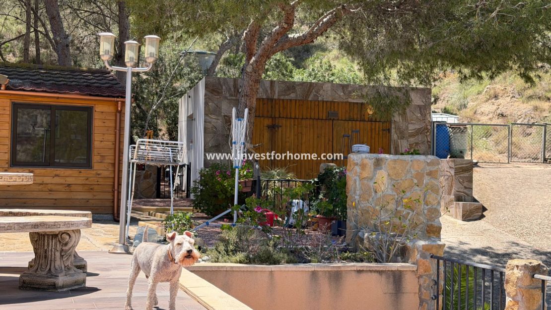 Vente - Villa - Orihuela Costa - Inland