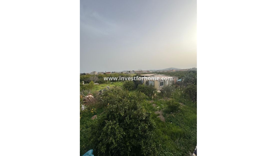 Vente - Villa - Orihuela Costa - La Campaneta