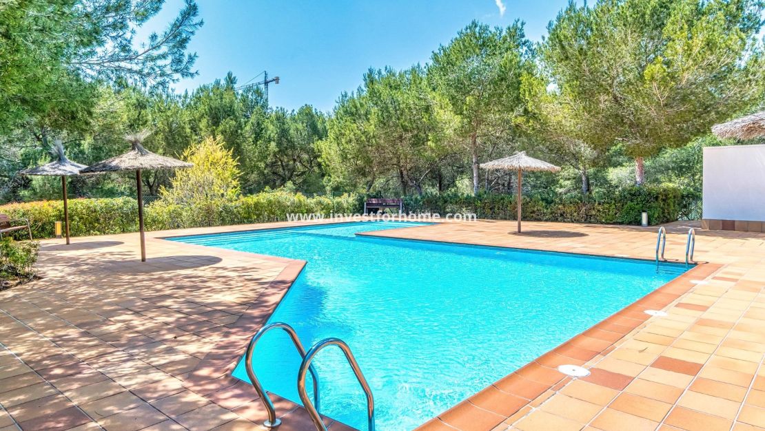Vente - Villa - Orihuela Costa - Las Colinas Golf
