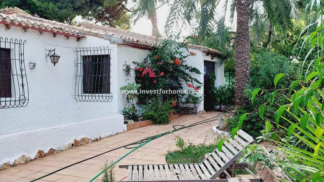 Vente - Villa - Orihuela Costa - Punta Prima