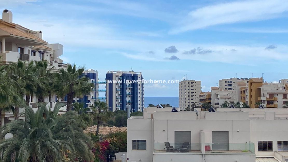 Vente - Villa - Orihuela Costa - Punta Prima