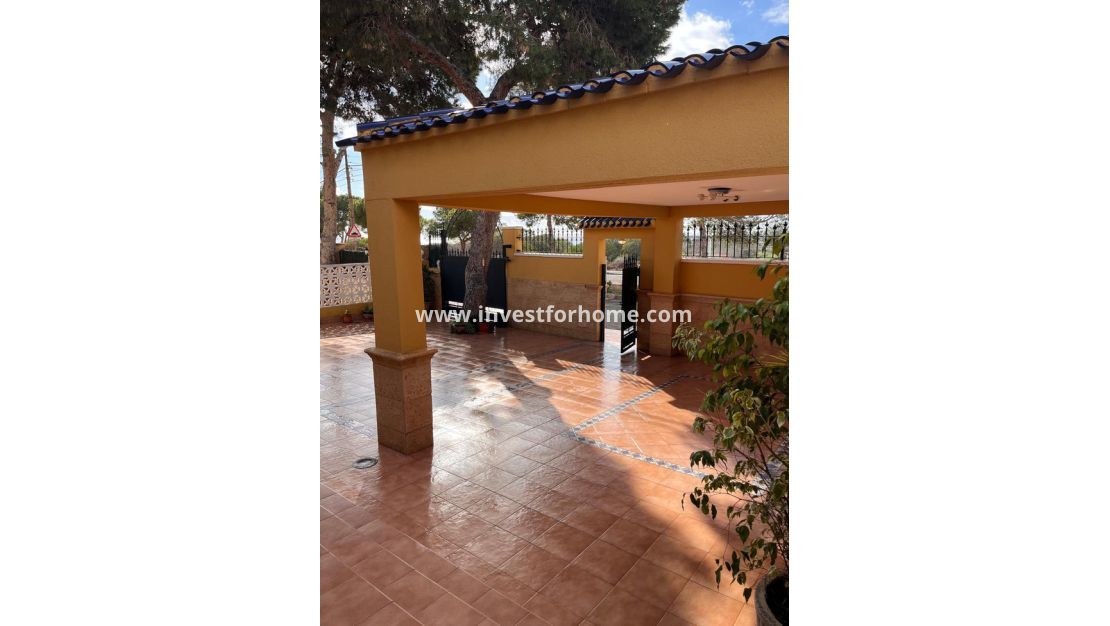 Vente - Villa - Orihuela Costa - Punta Prima