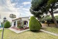 Vente - Villa - Orihuela Costa - Punta Prima