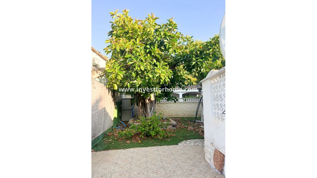 Vente - Villa - Orihuela Costa - Punta Prima