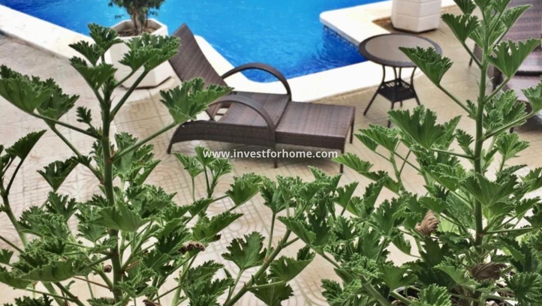 Vente - Villa - Rojales - Ciudad Quesada - Doña Pepa