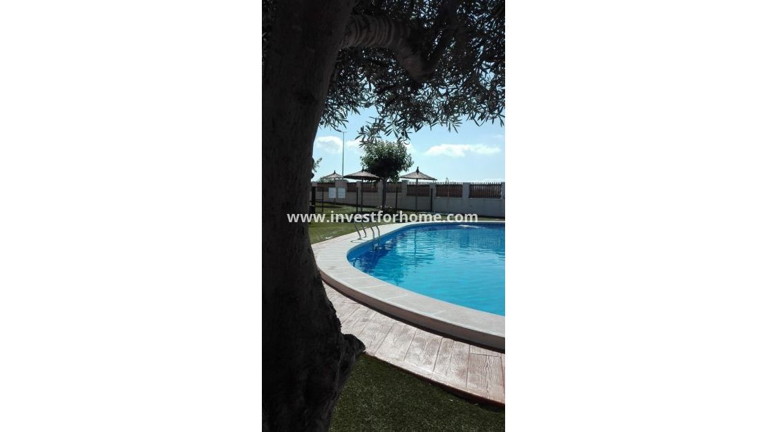 Vente - Villa - Rojales - Costa Blanca