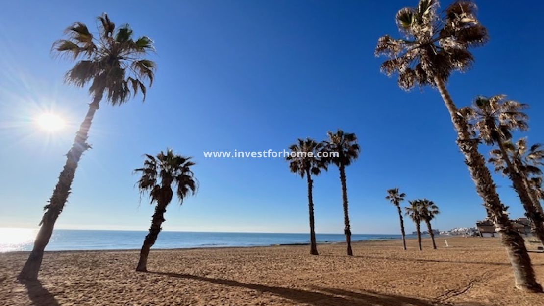 Vente - Villa - Rojales - Costa Blanca
