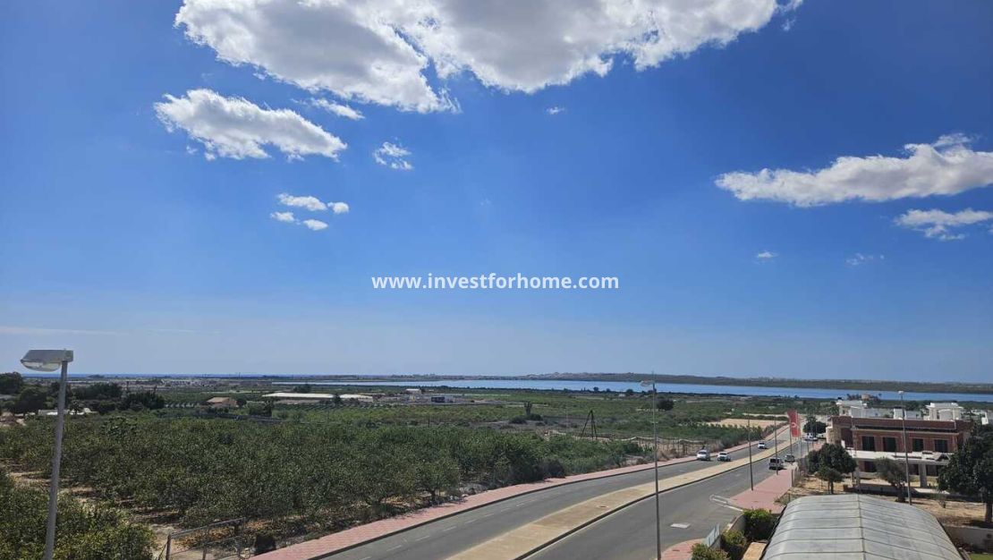 Vente - Villa - Rojales - Costa Blanca