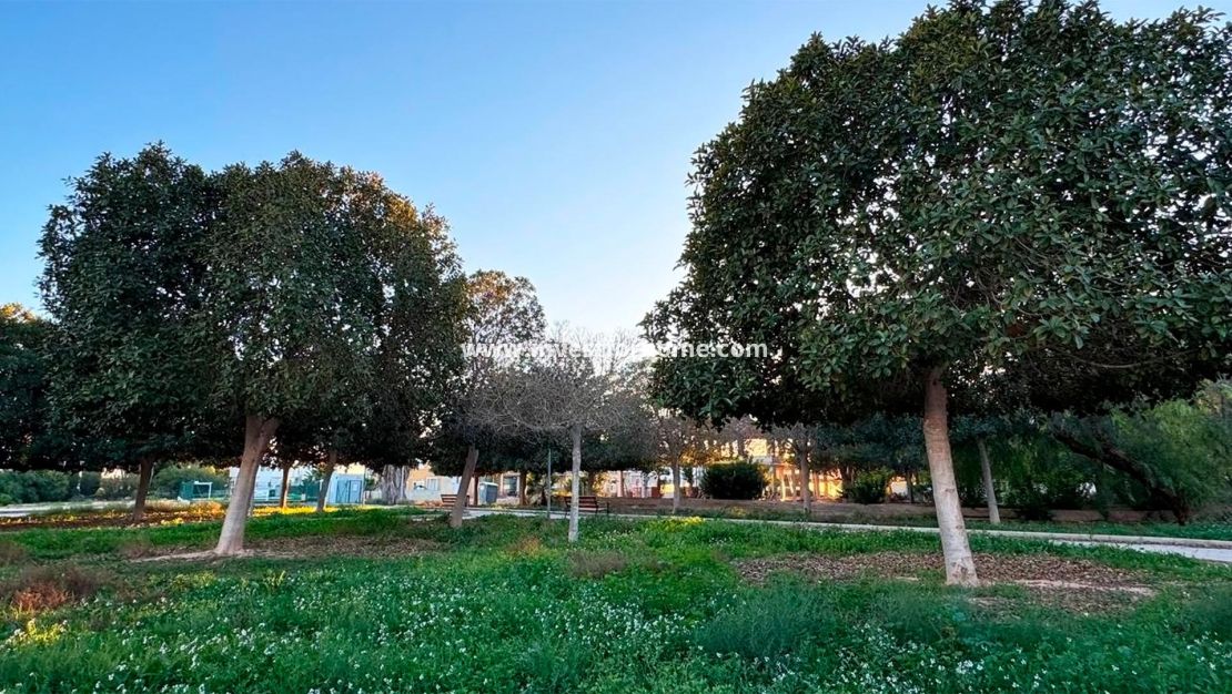 Vente - Villa - Rojales - Doña Pepa-Ciudad Quesada