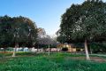 Vente - Villa - Rojales - Doña Pepa-Ciudad Quesada
