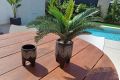 Vente - Villa - Rojales - Inland