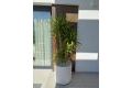 Vente - Villa - Rojales - Inland