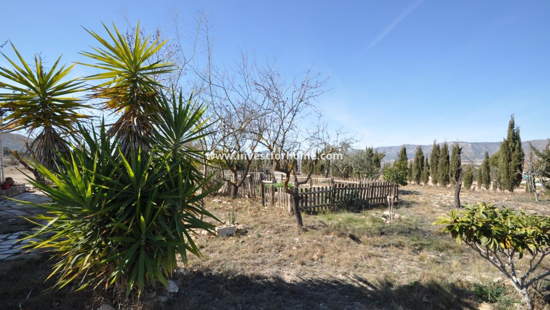 Vente - Villa - Salinas - Inland