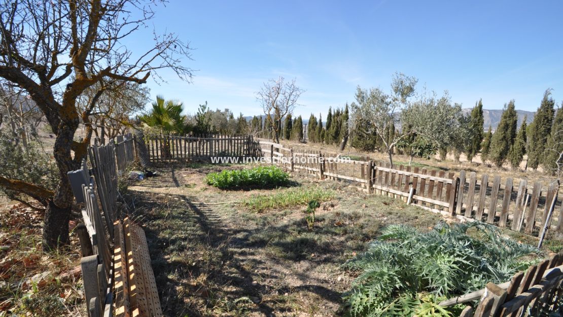 Vente - Villa - Salinas - Inland