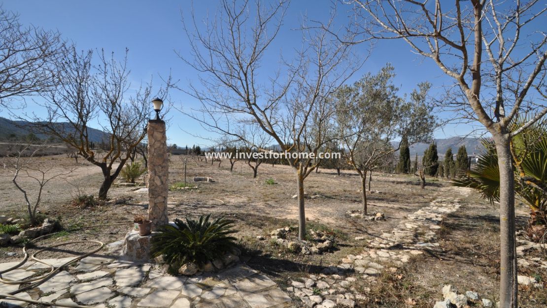 Vente - Villa - Salinas - Inland