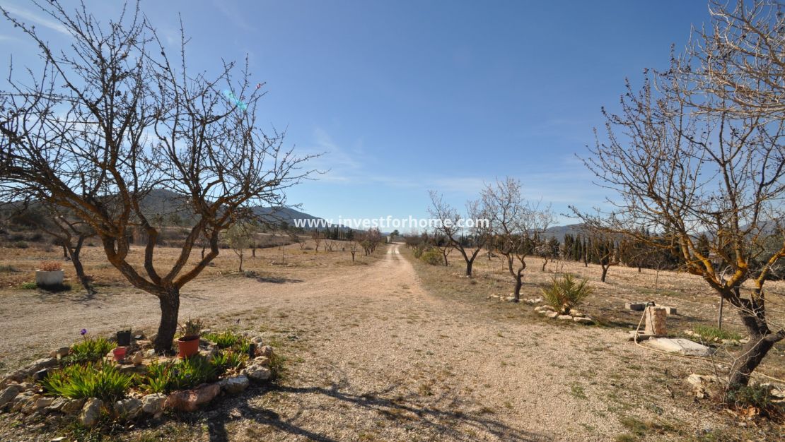 Vente - Villa - Salinas - Inland