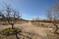 Vente - Villa - Salinas - Inland