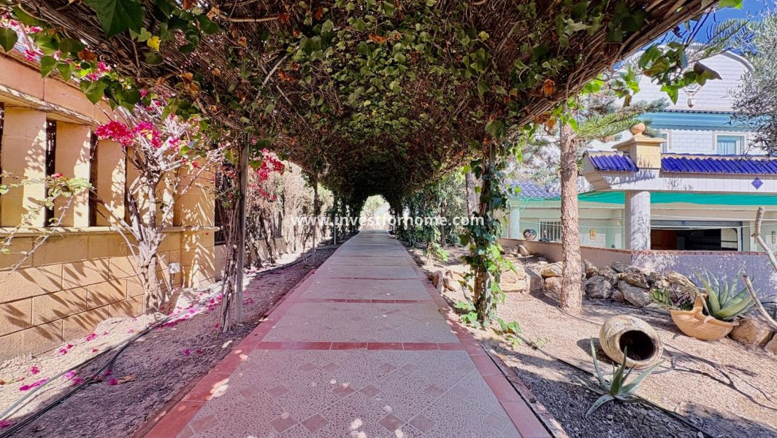 Vente - Villa - San Fulgencio - Costa Blanca