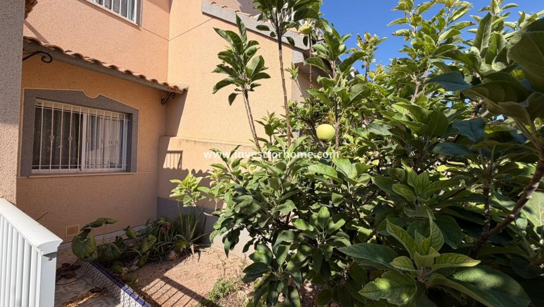 Vente - Villa - San Javier - San Blas