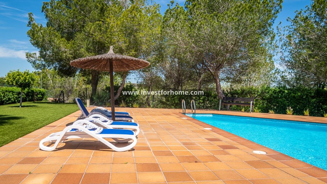 Vente - Villa - San Miguel de Salinas - Inland