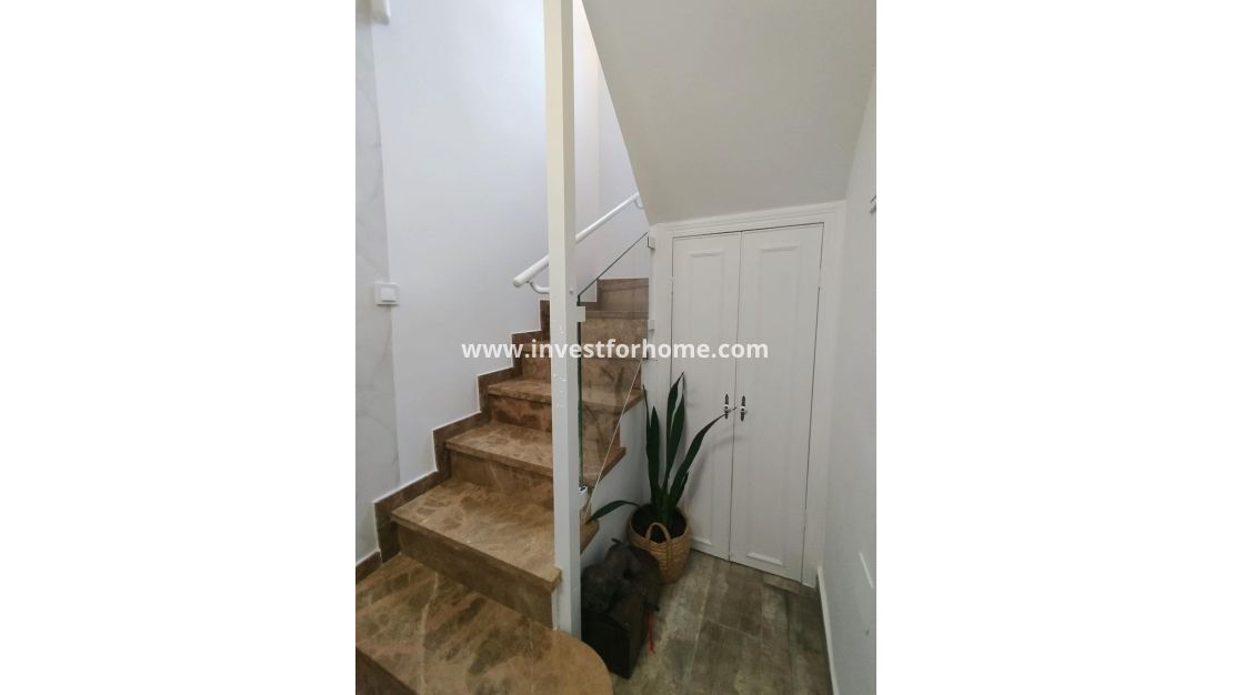 Vente - Villa - San Miguel de Salinas - Inland