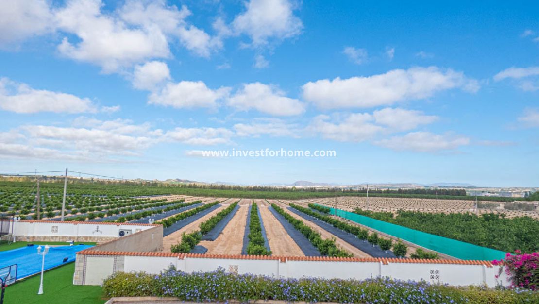 Vente - Villa - San Miguel de Salinas - Inland