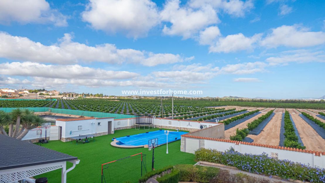 Vente - Villa - San Miguel de Salinas - Inland